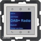 Berker 29846089 Radio Touch  UP DAB+ Q.x pws