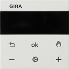 Gira 539303 S3000 RTR Display System 55